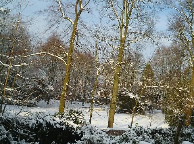 B&B Speelmansrei Brugge