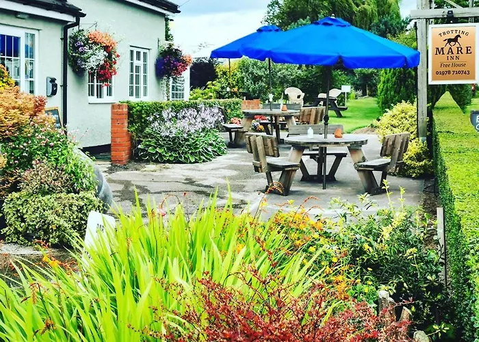 The Trotting Mare Holiday Lets - Adults Only Wrexham