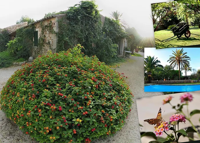 Petit Hotel Es Figueral Campos 