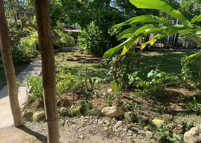 Can Jam Retreat Negril