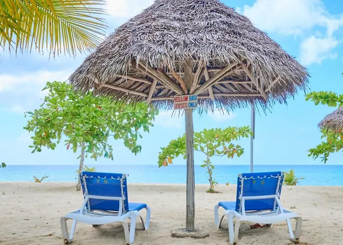 Yellow Bird Sea Negril