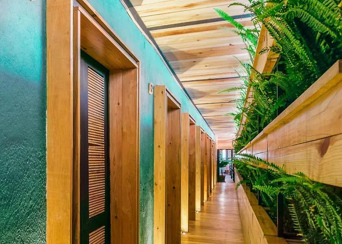 Mexico Hostel