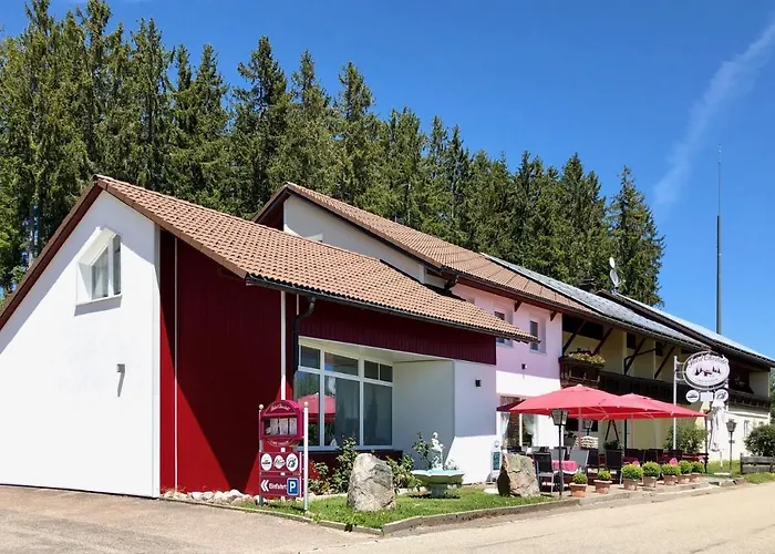 Hotel Charlott Eisenbach 