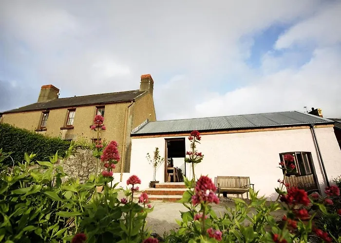Blas Gwyr Llangennith
