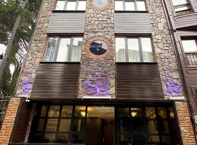 Hotel Blue Ottoman Istambul