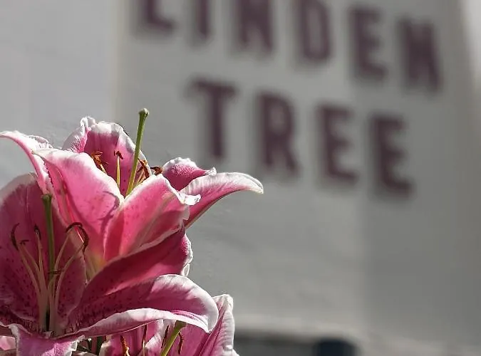 Linden Tree Bed & Breakfast Gloucester