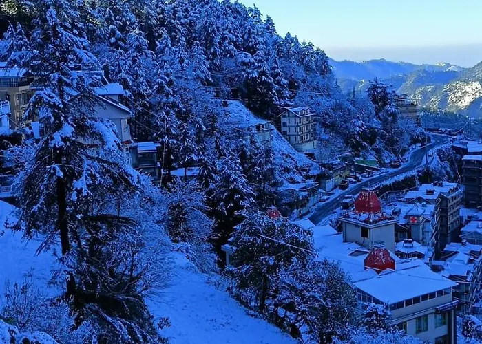 The Grand Madhushala Hotel Shimla