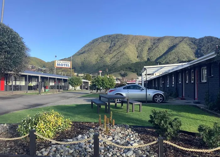 Aaa Marlin Motel Picton