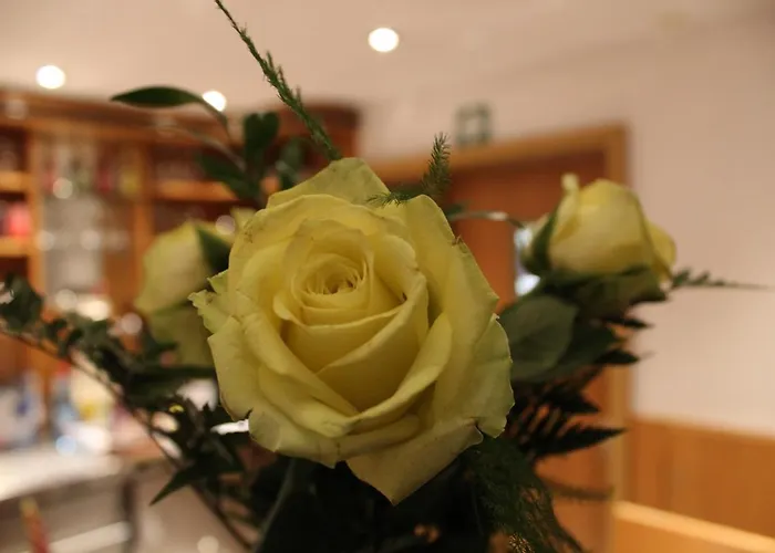 Hotel Albena - garni Hotel Fürstenwalde