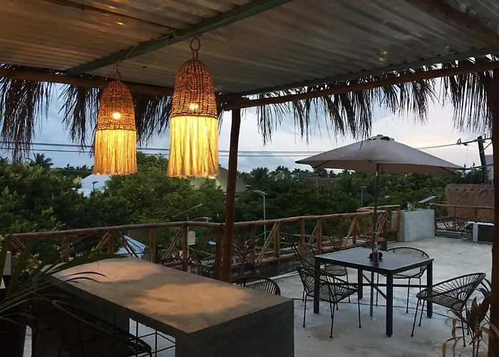 Black Flamingo Isla Holbox