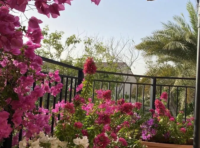 Cherrywood House Dubai