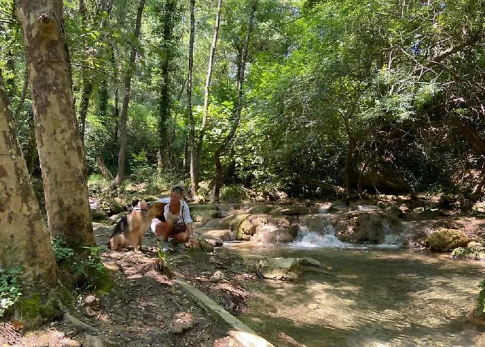 Aparthotel Domaine Le Petit Hameau à Cotignac