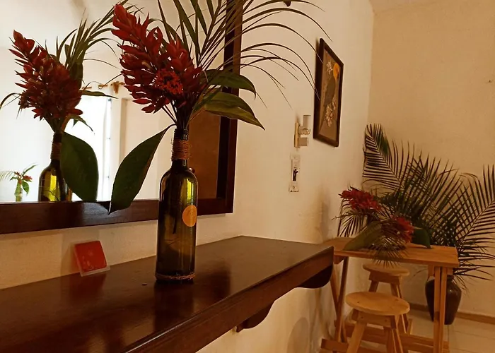 Casa De Los Pajaros - B&B Valladolid 
