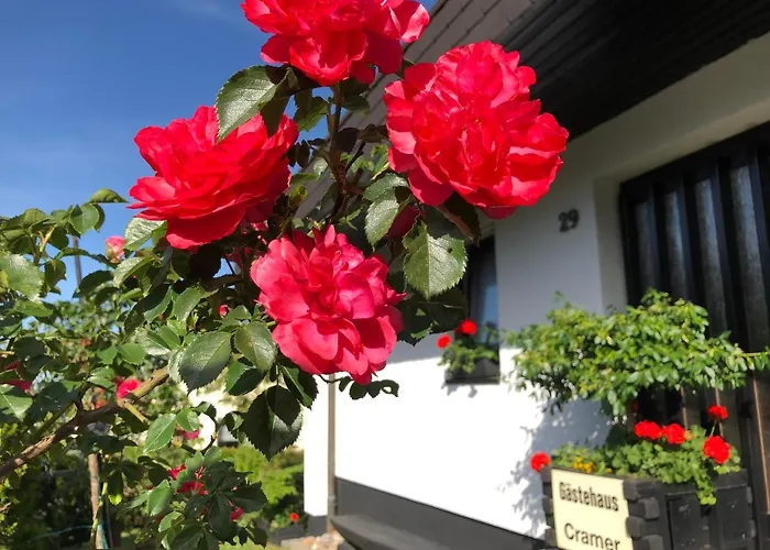 Gaestehaus Cramer Bad Kissingen