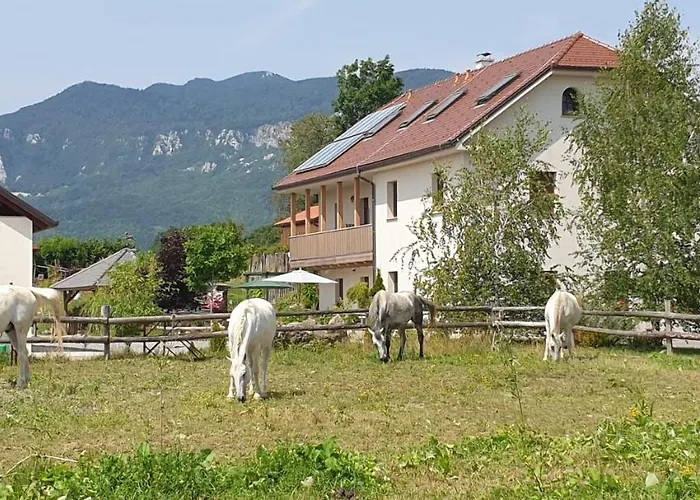 Lipizzaner Lodge Guest House Postojna