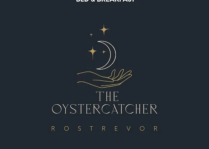 The Oystercatcher Rostrevor