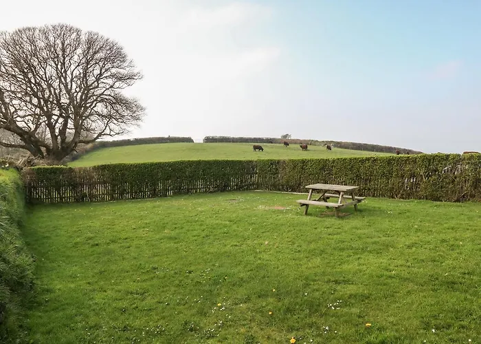 Home Farm Cottage Boscastle
