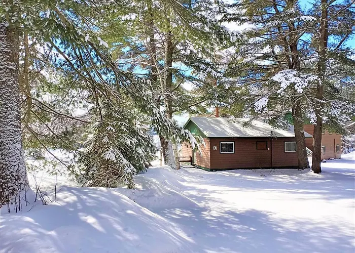 Logging Chain Lodge Cottage Resort Dwight