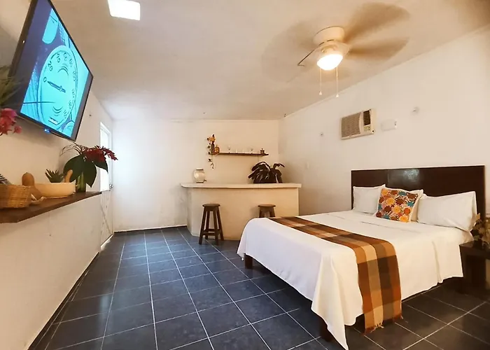 Casa De Los Pajaros - B&B Valladolid 