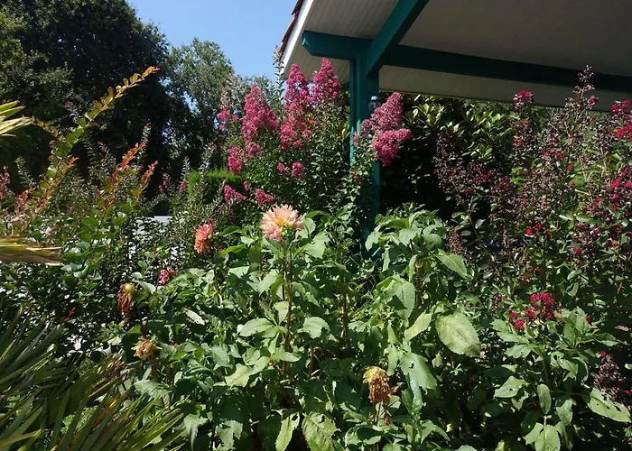 Bed and Breakfast l Annexe à Biscarrosse