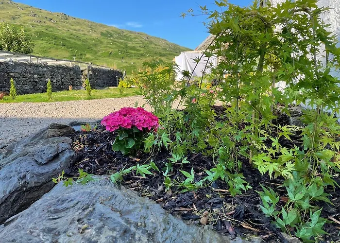 Garrison Farm With Hot Tub Bed & Breakfast Inversnaid
