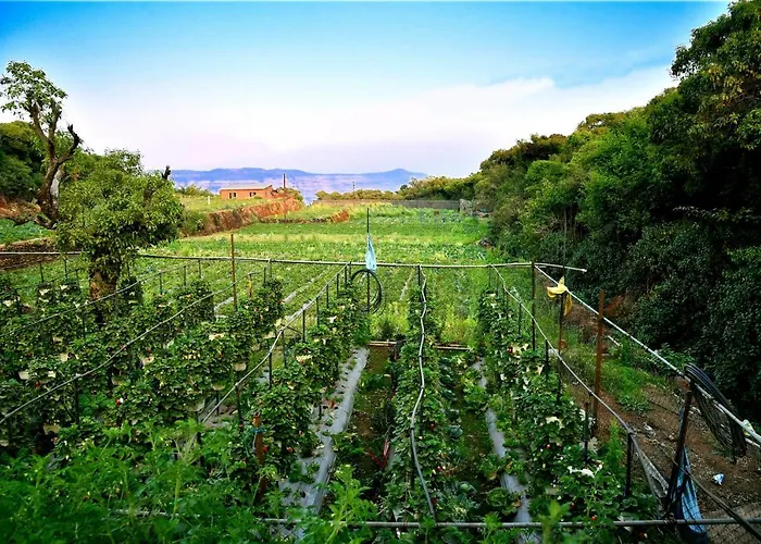 Dv Inns Farmvilla - Besides Strawberry Farms Mahabaleshwar