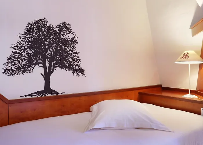 Hotel Suisse Straßburg