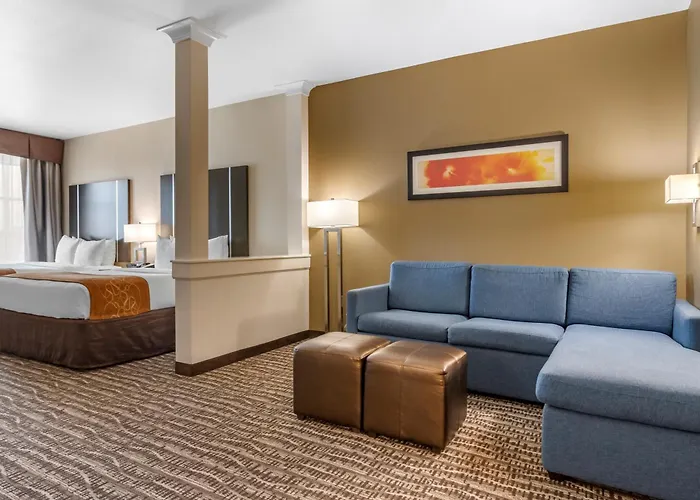 Comfort Suites Near Sam Houston Race Park Jersey Village