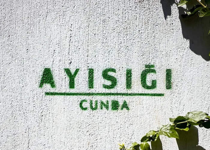 Ayisigi Hotel Ayvalı