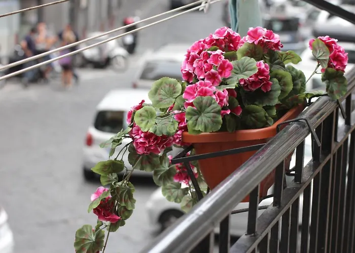 Bed and breakfast Napoliviva Bovio