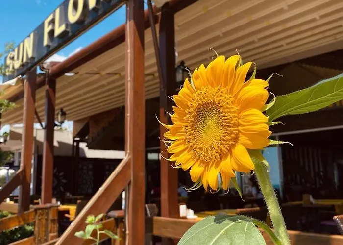Sun Flower Apart Hotel Side