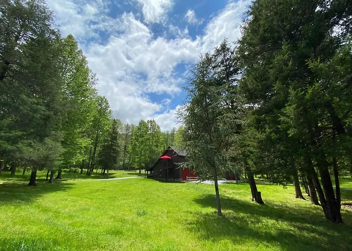 Shadow Mountain Escape Cabin Rentals Luray