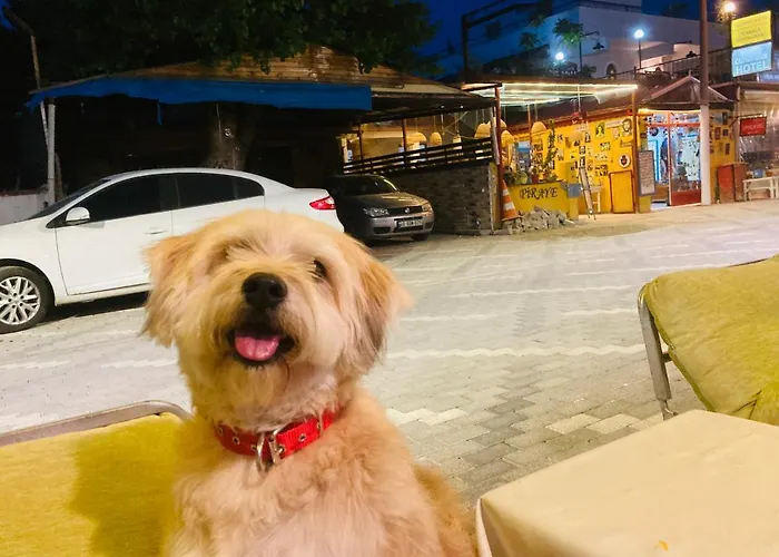 Hotel Dönmez Dalyan