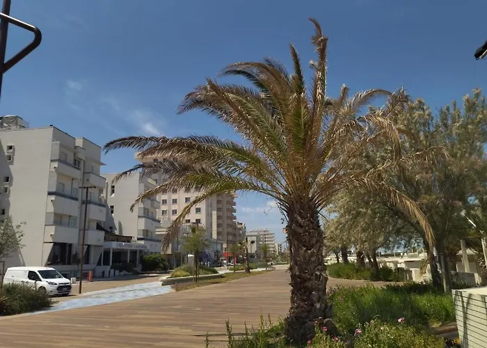 Hotel Executive La Fiorita Rimini