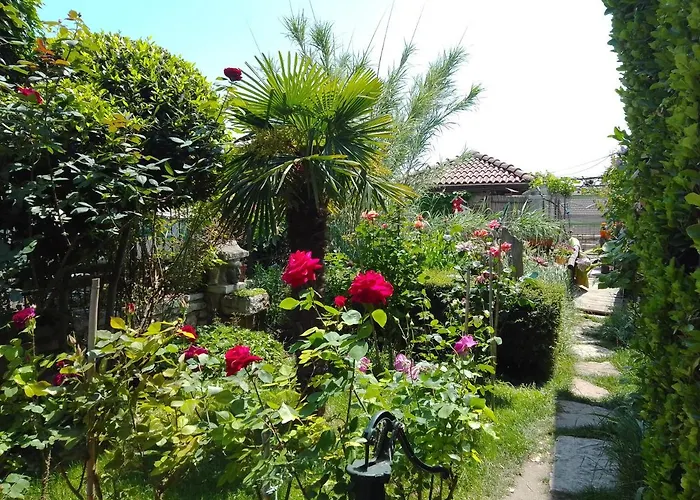 Guest House Amazonka Warna