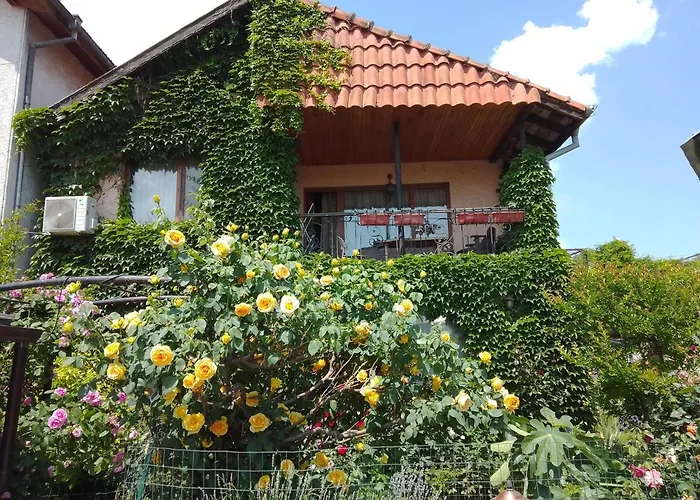 Guest House Amazonka Warna