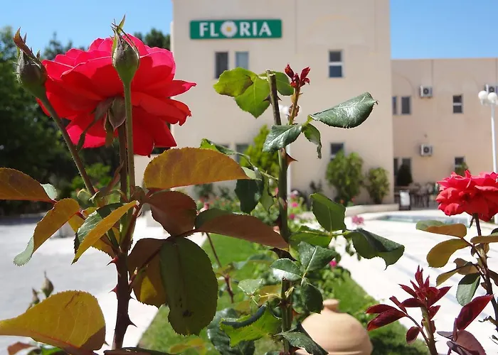 Floria Hotel Ürgüp