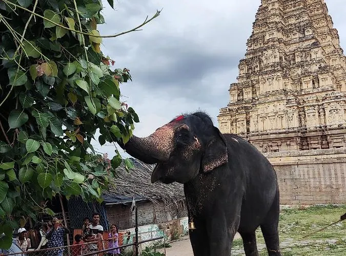 Temple View Guest House Hampi
