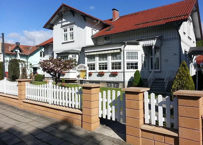 Villa HarzFokus - #Hotel#Pension#Frühstück Wernigerode