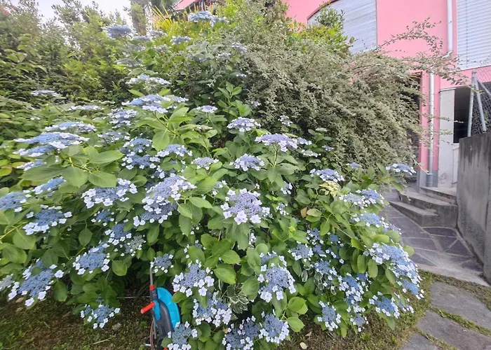 Residence Venus Garden Brissago TI