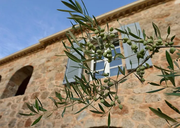 Bed and Breakfast Patrick & Joan Leigh Fermor House Kardamyli