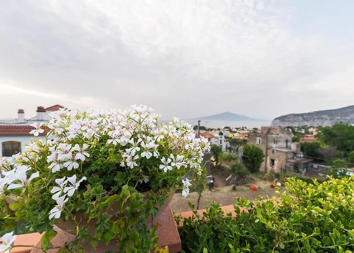 Shanti Home - Restaurant Di Aversano Salvatore Sorrento