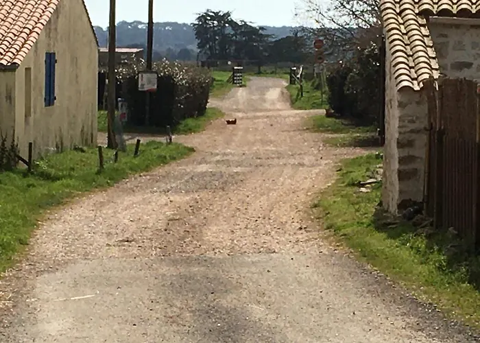 Le Clos De La Viniere Jard-sur-Mer