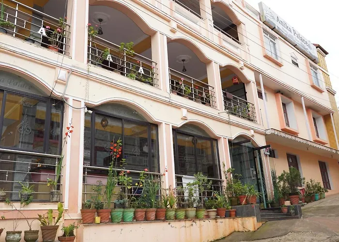 Anika Palace By Pepe Inn Hotel Ooty