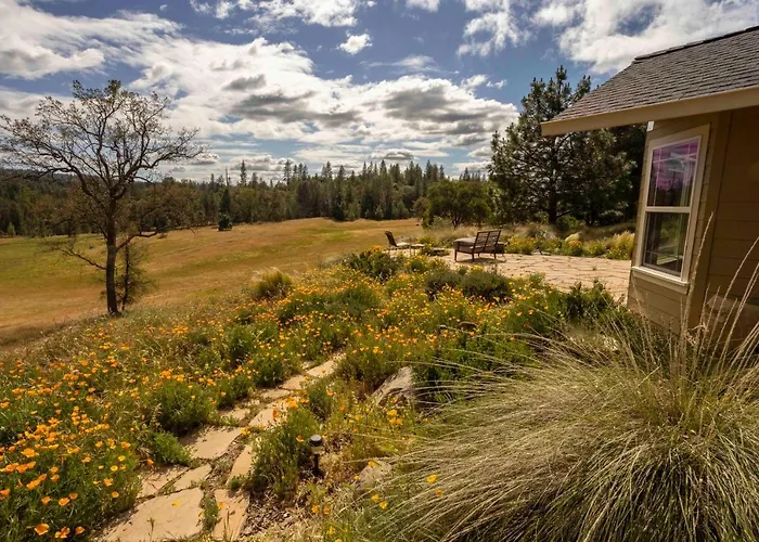Red Tail Ranch Bed & Breakfast Groveland