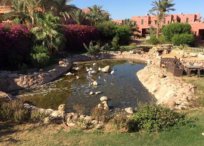 Hauza Beach Resort & Aqua Sharm el-Sheikh