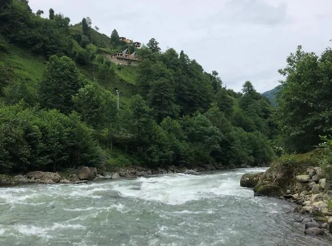 Afara Bungalows Otel & Cafe Rize