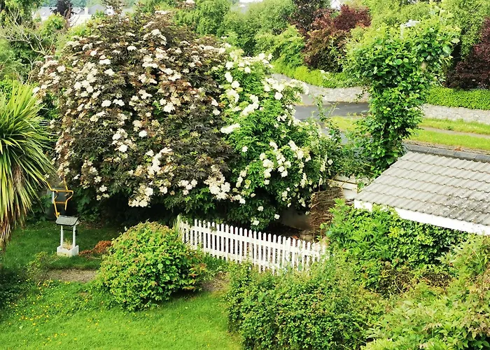 Balally House Shannon