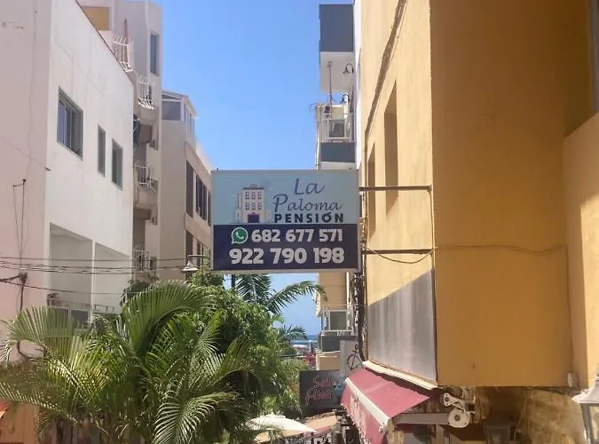Pensión La Paloma Arona 