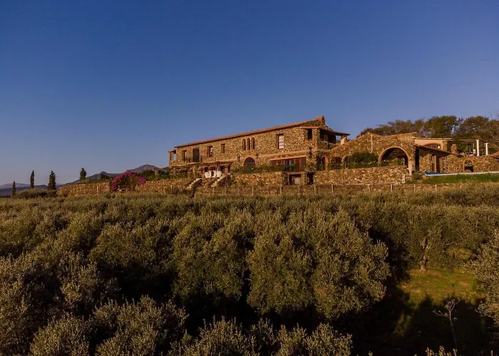 Casa Mori House Bed and Breakfast Stellenbosch